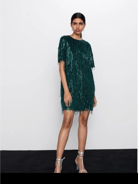 Zara Dresses & Skirts - NWT ZARA Sequin Fringed Mini Dress in Green size Medium